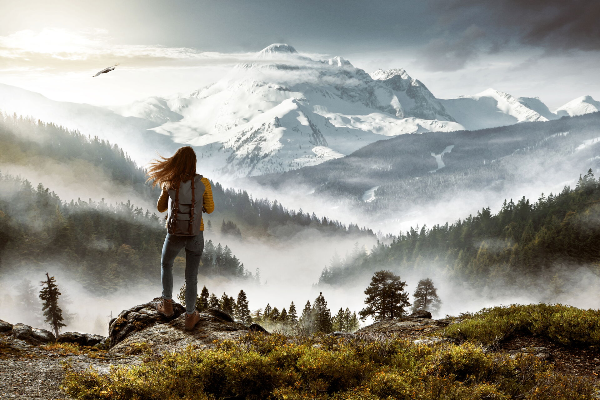 Team arbeitet gemeinsam an digitalen Strategien am Laptop