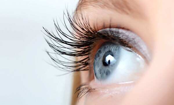 Nahaufnahme eines blauen Auges mit langen Wimpern.