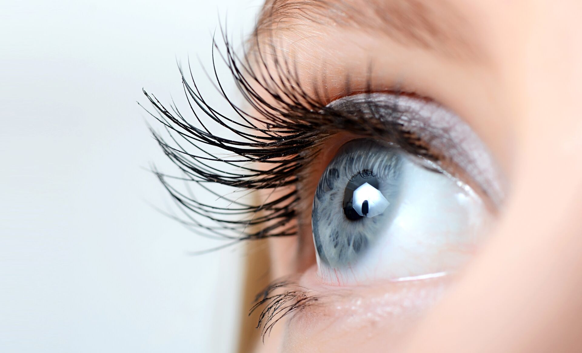 Nahaufnahme eines blauen Auges mit langen Wimpern.